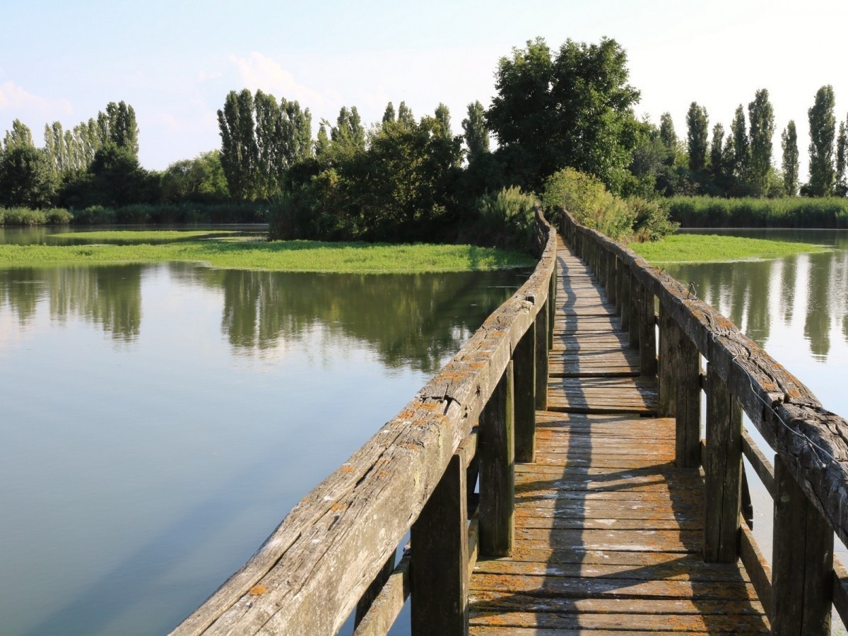 Tra terra e acqua - Codevigo