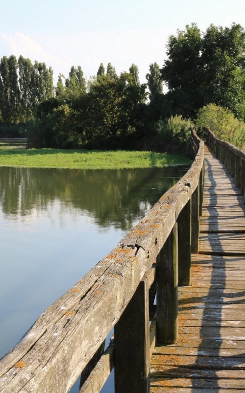 Tra terra e acqua - Codevigo