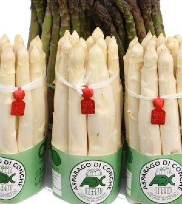 Asparagi