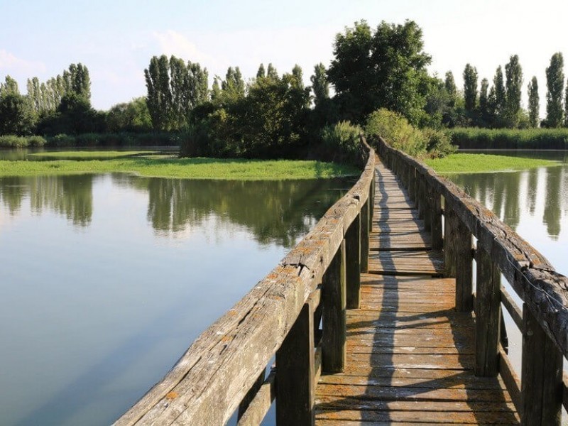 Oasi ca' di Mezzo passerella in legno