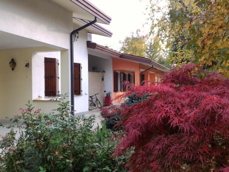 Esterni