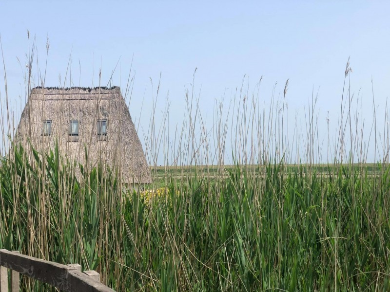 Casoni della Fogolana